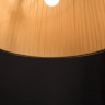 Подвесной светильник Arte Lamp Vitruvio A2805SP-1BK - Подвесной светильник Arte Lamp Vitruvio A2805SP-1BK