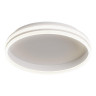 Потолочный светодиодный светильник Feron Shinning ring AL5880 41696 - Потолочный светодиодный светильник Feron Shinning ring AL5880 41696