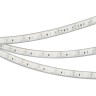 Лента RTW-5000PU-2835-120 12V Blue (10.5mm, 14.4W, IP68) (Arlight, Закрытый) - Лента RTW-5000PU-2835-120 12V Blue (10.5mm, 14.4W, IP68) (Arlight, Закрытый)