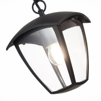  - Уличный подвесной светильник ST Luce Sivino SL081.403.01