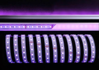  - Лента светодиодная Deko-Light 5050-60-24V-RGB+6200K-5m-silicon 840241