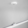Набор для подвеса Elektrostandard TRF-1-200-WH 4690389146251 - Набор для подвеса Elektrostandard TRF-1-200-WH 4690389146251
