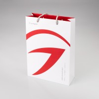  - Пакет бумажный с логотипом Arlight (Arlight, -)