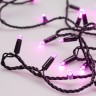 Светодиодная гирлянда ARD-STRING-CLASSIC-10000-BLACK-100LED-STD PINK (230V, 7W) (Ardecoled, IP65) - Светодиодная гирлянда ARD-STRING-CLASSIC-10000-BLACK-100LED-STD PINK (230V, 7W) (Ardecoled, IP65)