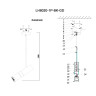 Подвесной светильник Lumien Hall Саурис LH8020/1P-BK-GD - Подвесной светильник Lumien Hall Саурис LH8020/1P-BK-GD