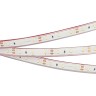 Лента герметичная RTW-PFS-A60-11mm 12V Warm3000 (4.8 W/m, IP68, 2835, 5m) (Arlight, -) - Лента герметичная RTW-PFS-A60-11mm 12V Warm3000 (4.8 W/m, IP68, 2835, 5m) (Arlight, -)