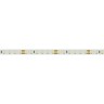 Лента RTW 2-5000SE 24V 2X Cool (2835, 600 LED, PRO) (Arlight, 14.4 Вт/м, IP65) - Лента RTW 2-5000SE 24V 2X Cool (2835, 600 LED, PRO) (Arlight, 14.4 Вт/м, IP65)
