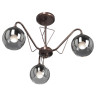 Потолочная люстра Vitaluce V3951-7/3PL - Потолочная люстра Vitaluce V3951-7/3PL
