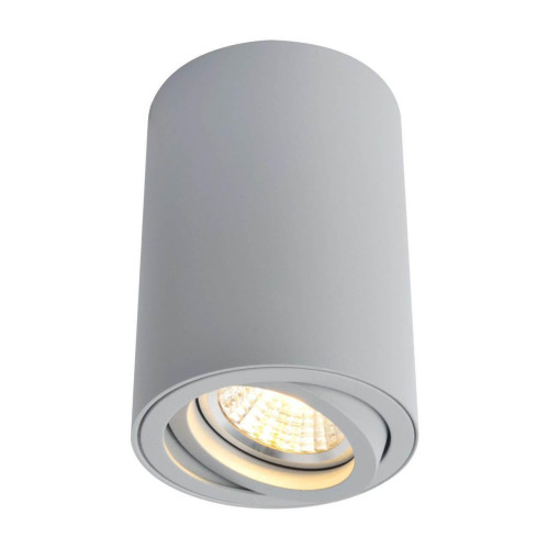 Потолочный светильник Arte Lamp A1560PL-1GY 