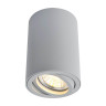 Потолочный светильник Arte Lamp A1560PL-1GY - Потолочный светильник Arte Lamp A1560PL-1GY