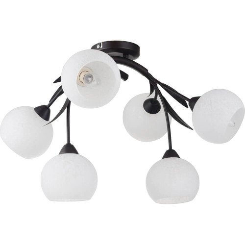 Потолочная люстра Lussole Bagheria LSF-6283-06 