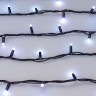 Светодиодная гирлянда ARD-STRING-PRO-10000-BLACK-100LED-MILK-LIVE RGB-DMX (24V, 10W) (Ardecoled, IP65) - Светодиодная гирлянда ARD-STRING-PRO-10000-BLACK-100LED-MILK-LIVE RGB-DMX (24V, 10W) (Ardecoled, IP65)