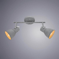  - Спот Arte Lamp A1677PL-2GY