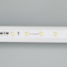 Лента RT-20000 24V Day4000 (3528, 60 LED/m, 20m) (Arlight, 4.8 Вт/м, IP20) - Лента RT-20000 24V Day4000 (3528, 60 LED/m, 20m) (Arlight, 4.8 Вт/м, IP20)