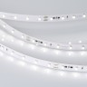 Лента RT-20000 24V Day4000 (3528, 60 LED/m, 20m) (Arlight, 4.8 Вт/м, IP20) - Лента RT-20000 24V Day4000 (3528, 60 LED/m, 20m) (Arlight, 4.8 Вт/м, IP20)