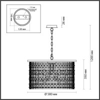  - Подвесная люстра Odeon Light Raini 4845/6