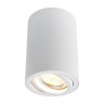 Потолочный светильник Arte Lamp A1560PL-1WH - Потолочный светильник Arte Lamp A1560PL-1WH