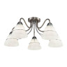 Потолочная люстра Freya Berta FR2013CL-05N - Потолочная люстра Freya Berta FR2013CL-05N