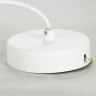 Подвесной светильник Lussole Loft LSP-8516 - Подвесной светильник Lussole Loft LSP-8516