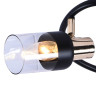 Спот Seven Fires Тина SF4701/3CA-MBK+FGD - Спот Seven Fires Тина SF4701/3CA-MBK+FGD