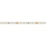 Лента RT 2-5000 24V White6000 1.6x (2835, 490 LED, PRO) (Arlight, 10 Вт/м, IP20) - Лента RT 2-5000 24V White6000 1.6x (2835, 490 LED, PRO) (Arlight, 10 Вт/м, IP20)
