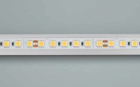  - Лента RT 6-5050-96 24V Day4000 3x (480 LED) (Arlight, 23 Вт/м, IP20)