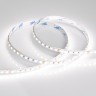 Лента RT 6-5050-96 24V Day4000 3x (480 LED) (Arlight, 23 Вт/м, IP20) - Лента RT 6-5050-96 24V Day4000 3x (480 LED) (Arlight, 23 Вт/м, IP20)