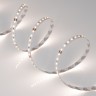 Лента MICROLED-5000HP 24V Day4000 8mm (2216, 120 LED/m, LUX) (Arlight, 14 Вт/м, IP20) - Лента MICROLED-5000HP 24V Day4000 8mm (2216, 120 LED/m, LUX) (Arlight, 14 Вт/м, IP20)