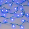 Светодиодная гирлянда ARD-STRING-CLASSIC-10000-BLUE-100LED-MILK-STD Blue (230V, 7W) (Ardecoled, IP65) - Светодиодная гирлянда ARD-STRING-CLASSIC-10000-BLUE-100LED-MILK-STD Blue (230V, 7W) (Ardecoled, IP65)