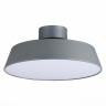 Потолочный светодиодный светильник Evoluce Vigo SLE600272-01 - Потолочный светодиодный светильник Evoluce Vigo SLE600272-01