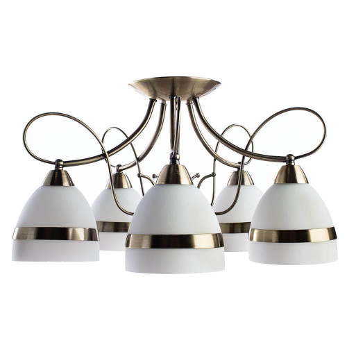Потолочная люстра Arte Lamp 55 A6192PL-5AB 