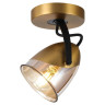 Спот Lussole Loft Antelope LSP-8422 - Спот Lussole Loft Antelope LSP-8422