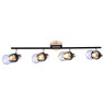Спот Seven Fires Тина SF4701/4C-MBK+FGD - Спот Seven Fires Тина SF4701/4C-MBK+FGD