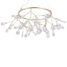 Подвесная люстра Crystal Lux Evita SP45 D Gold/Transparent - Подвесная люстра Crystal Lux Evita SP45 D Gold/Transparent