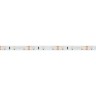Лента RT 2-5000 12V White6000 (3528, 300 LED, LUX) (Arlight, 4.8 Вт/м, IP20) - Лента RT 2-5000 12V White6000 (3528, 300 LED, LUX) (Arlight, 4.8 Вт/м, IP20)