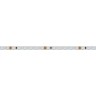 Лента RT 2-5000 24V Blue 5mm 2x (3528, 600 LED, LUX) (Arlight, 9.6 Вт/м, IP20) - Лента RT 2-5000 24V Blue 5mm 2x (3528, 600 LED, LUX) (Arlight, 9.6 Вт/м, IP20)