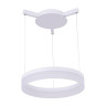 Подвесной светодиодный светильник Arte Lamp A2502SP-1WH - Подвесной светодиодный светильник Arte Lamp A2502SP-1WH