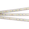Лента RTW 2-5000PS 24V White6000 2x (5060, 300 LED, LUX) (Arlight, 14.4 Вт/м, IP67) - Лента RTW 2-5000PS 24V White6000 2x (5060, 300 LED, LUX) (Arlight, 14.4 Вт/м, IP67)