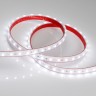 Лента RTW 2-5000PS 24V White6000 2x (5060, 300 LED, LUX) (Arlight, 14.4 Вт/м, IP67) - Лента RTW 2-5000PS 24V White6000 2x (5060, 300 LED, LUX) (Arlight, 14.4 Вт/м, IP67)