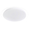 Потолочный светодиодный светильник Arte Lamp Lunio A6040PL-1WH - Потолочный светодиодный светильник Arte Lamp Lunio A6040PL-1WH