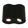 Потолочный светильник Arte Lamp A5644PL-2BK - Потолочный светильник Arte Lamp A5644PL-2BK