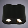Потолочный светильник Arte Lamp A5644PL-2BK - Потолочный светильник Arte Lamp A5644PL-2BK