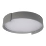 Потолочный светодиодный светильник Loft IT Coin 10200 Grey - Потолочный светодиодный светильник Loft IT Coin 10200 Grey