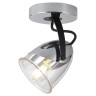 Спот Lussole Loft Antelope LSP-8423 - Спот Lussole Loft Antelope LSP-8423