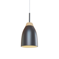  - Подвесной светильник Loft IT Restor Loft4402A-Bl