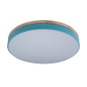 Потолочный светодиодный светильник Loft IT Axel 10001/36 blue - Потолочный светодиодный светильник Loft IT Axel 10001/36 blue