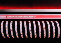  - Лента светодиодная Deko-Light 5050-60-24V-RGB-5m-nano 840255