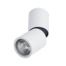 Спот Divinare Gavroche Posto 1800/03 PL-1 - Спот Divinare Gavroche Posto 1800/03 PL-1