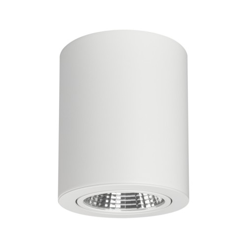 Светильник SP-FOCUS-R120-16W Day White (Arlight, IP20 Металл, 3 года) Накладной светильник 16Вт, белый корпус цилиндр. Цвет ДНЕВНОЙ БЕЛЫЙ 4000K, св.поток 1280-1440лм, CRI(Ra)>80, наклоняемая ось, угол 24°. Размер Ф120x140 мм. Питание AC 180-240V, 16Вт, встроенный драйвер (DC 400mA 37V).