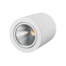 Светильник SP-FOCUS-R120-16W Day White (Arlight, IP20 Металл, 3 года) - Светильник SP-FOCUS-R120-16W Day White (Arlight, IP20 Металл, 3 года)